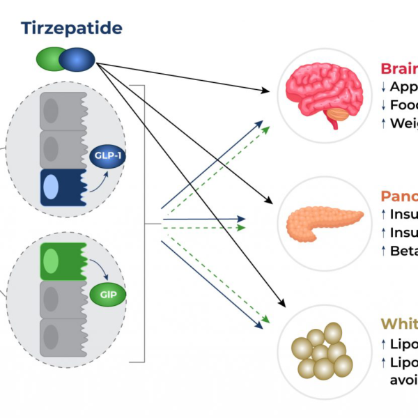 Diagram Description automatically generated